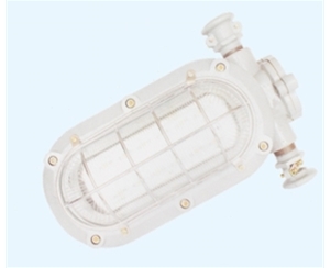 菏泽矿用隔爆型LED支架灯
